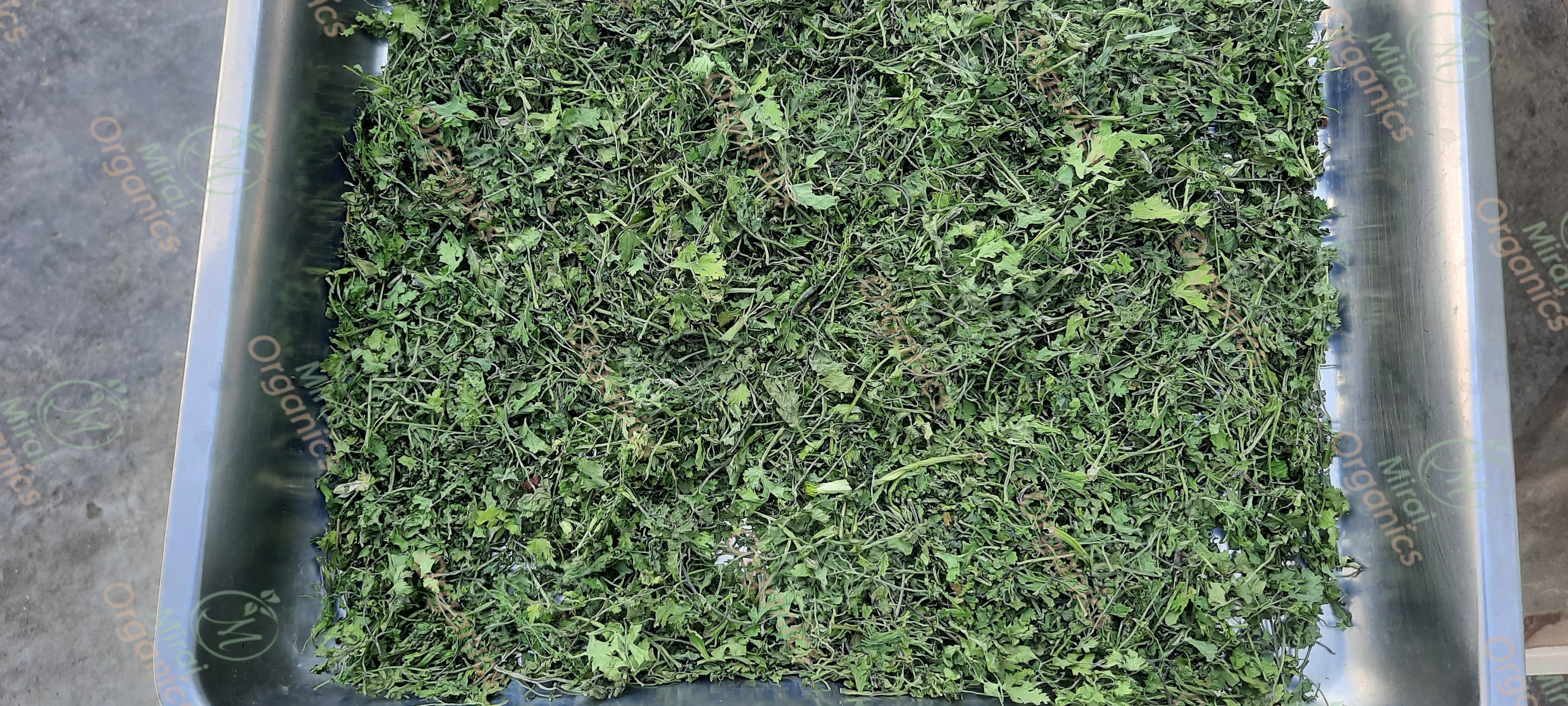 Dry Coriander Leaf